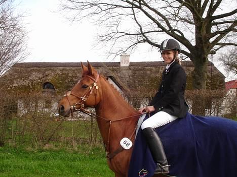 Anden særlig race La Rouge  *SOLGT*  - Til Stævne i Nordthy . 29-30 april o6 billede 2