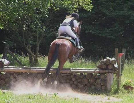 Anden særlig race Atilla-San *RIP* - Haslev d. 10/7. På vej over brændestakken billede 16