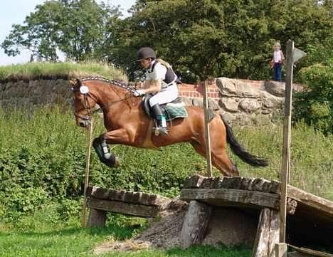 Anden særlig race Atilla-San *RIP* - Military på Søborggård d. 21/8, vi startede i Debutant for første gang. Blev desværre disset på sidste forhindring i terrænet :-( billede 19