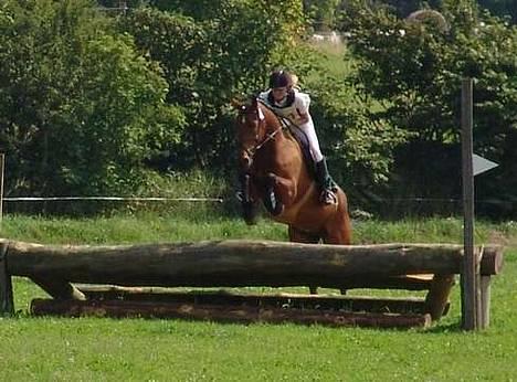 Anden særlig race Atilla-San *RIP* - Søborggård igen, mens det endnu gik godt :-) billede 20