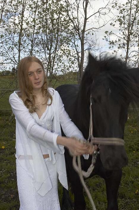 Fell pony Llancloudy Jess DØD - HjæææælP! ,, man kan ikk både se i kameraet, og holde en vildhest. :b - Komfirmation. billede 8