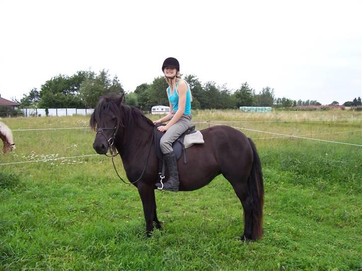 Fell pony Llancloudy Jess DØD - Første gang jeg sad på Jess.. billede 9