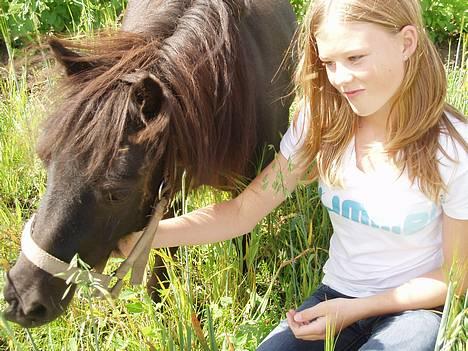 Shetlænder line<3 - mig og line sammen ,, ;0) billede 9