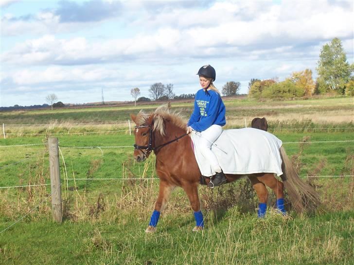 Islænder Tyra Fra Stårup  - 17 oktober 08. billede 12