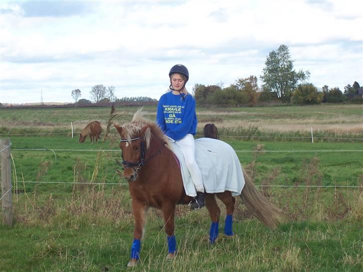 Islænder Tyra Fra Stårup  - 17 oktober 08. billede 13