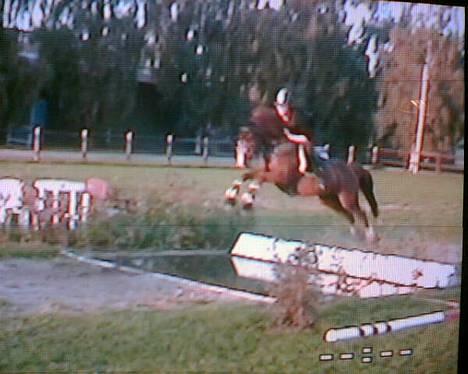 Anden særlig race <3Kashmir Mit et og alt<3 - Vi flyver over vandgraven på AGR-Allerupgård.Kun anden gang han hopper fast vandgrav såå fedt han bare går på mann=)Elsker den pony, billedet er desværre ret slørret/utydeligt da det er taget ud fra en video. Desværre billede 9