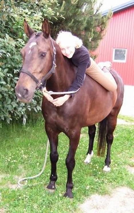 Dansk Varmblod Janni R.I.P. - Janni og jeg i haven dagen inden hun sku´ aflives.... :´/ billede 10