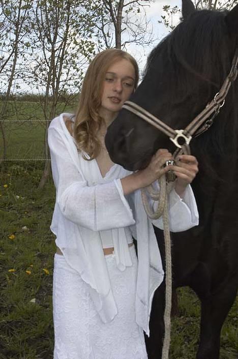 Fell pony Llancloudy Jess DØD - Komfirmation billede 11