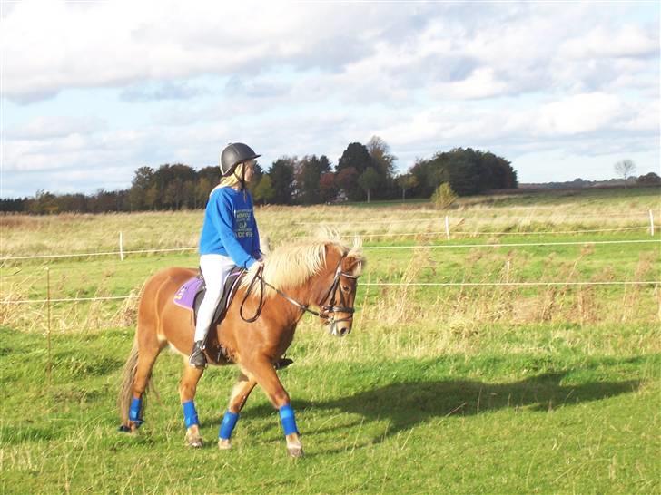 Islænder Tyra Fra Stårup  - 17 oktober 08. billede 14