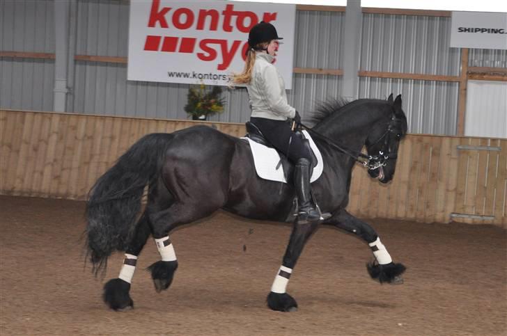 Frieser Arno S. - April 2010 billede 12