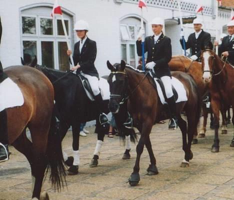 Anden særlig race Stella  - optog i broager billede 9