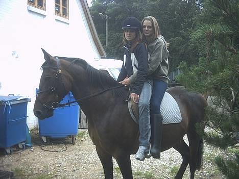 Traver Vixi Wørtel <3 R.I.P :'( billede 11