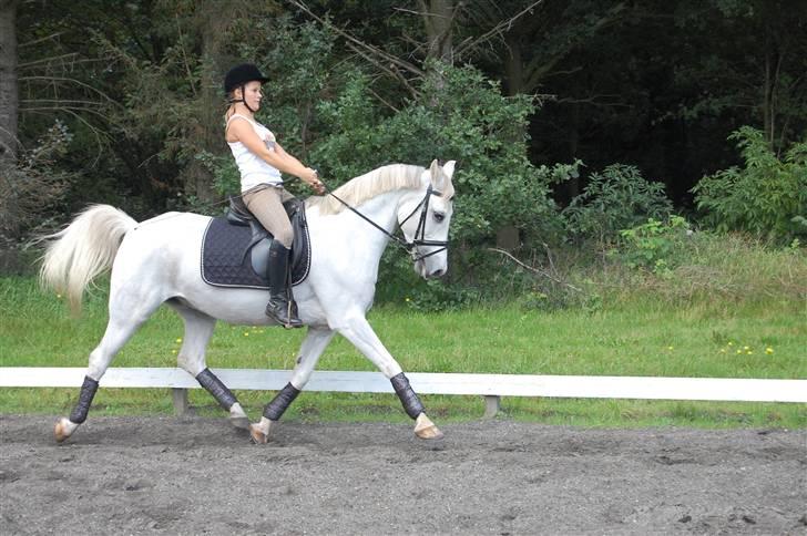 Anden særlig race Bacardi Solgt :'( - Taget af Carina Rønbjerg billede 4