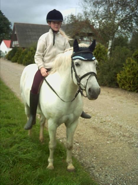 Anden særlig race Lotte *Død* - vi står godt her var billede 18