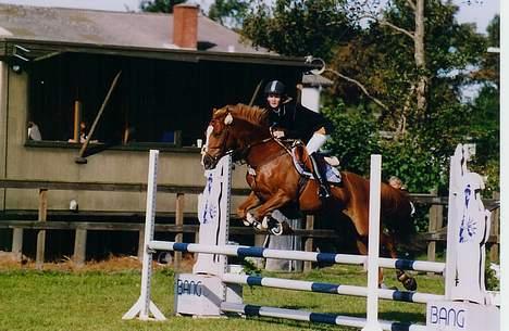 Anden særlig race Irish Duke (Solgt) - Her er vi til distriktsstævne i Djurslands Rideklub 2003! billede 9