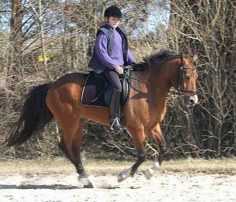 DSP Wonder  billede 9