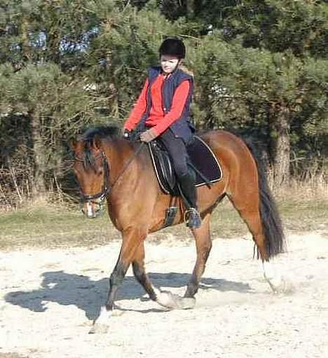 DSP Wonder  billede 12