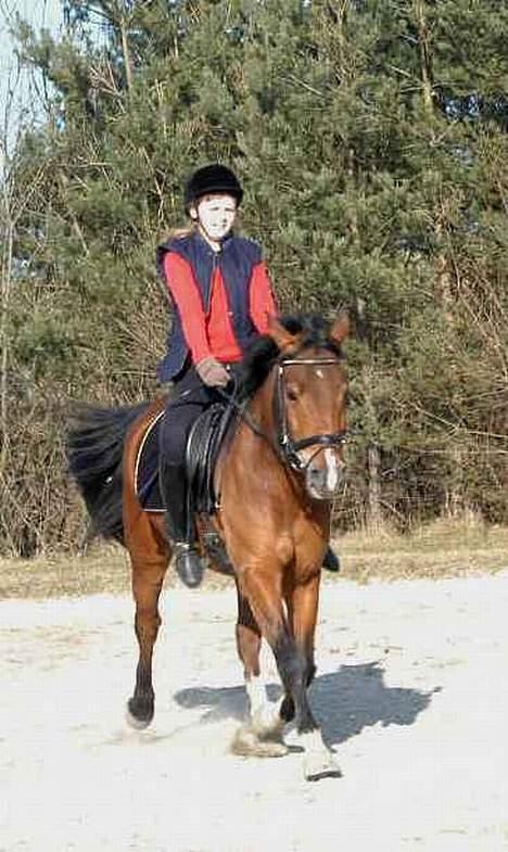 DSP Wonder  billede 14