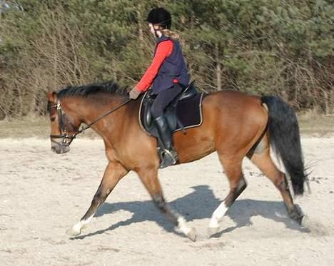 DSP Wonder  billede 15