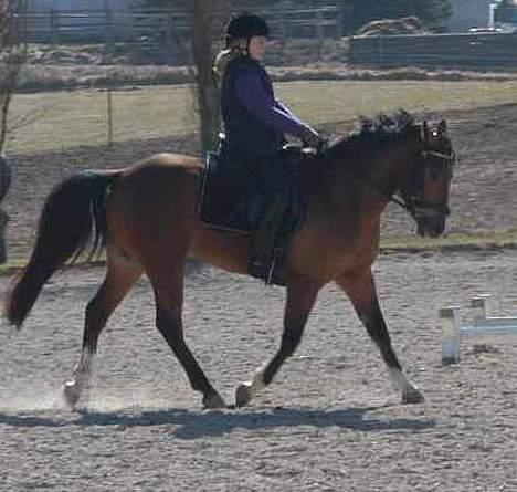 DSP Wonder  billede 16