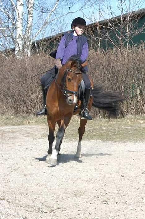 DSP Wonder  billede 19