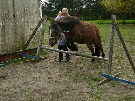 Anden særlig race Sera. R.I.P 2-9-10 - Så tager vi et spring ind i Seras  profil billede 1