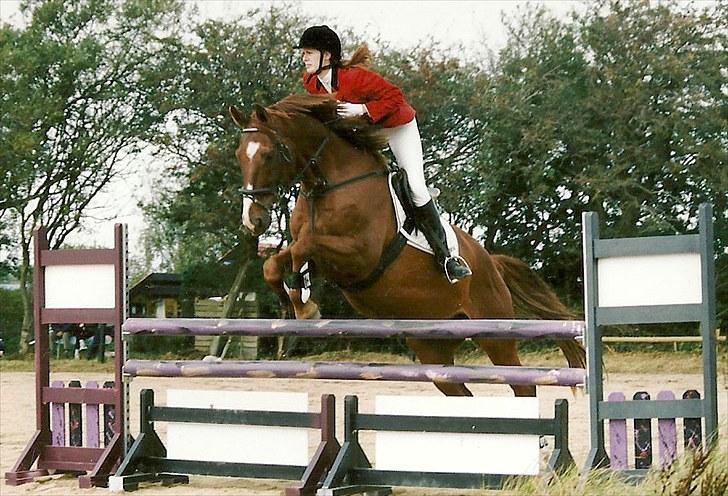 Dansk Varmblod C-Mol *For evigt elsket <3* - Molle og mig til stævne i BDR :) billede 13