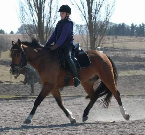 DSP Wonder  billede 20