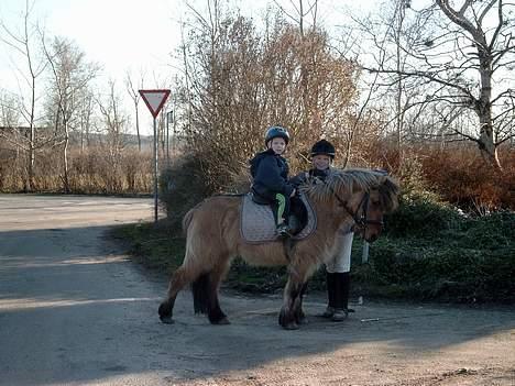 Anden særlig race Tulle(død) R.I.P - her er min lillebror på tulle og jeg trækker med hende. billede 4