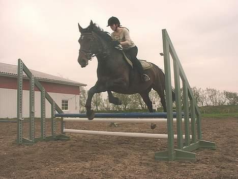Oldenborg Peja  - hey se mig jeg kan springe... billede 1