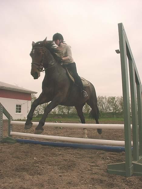 Oldenborg Peja  - juuuuuuhuuuu springe.. billede 2