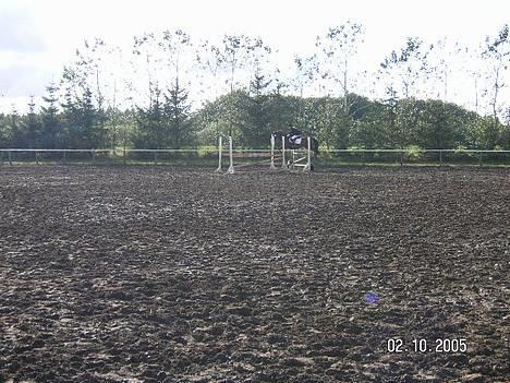 Dansk Varmblod Hanita - LC skæve. 2 okt. 2005 billede 15