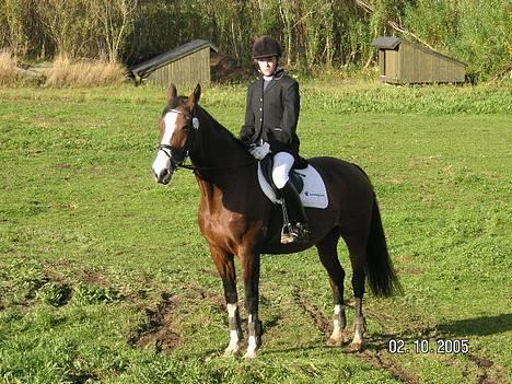 Dansk Varmblod Hanita - Skæve 2005.  billede 16