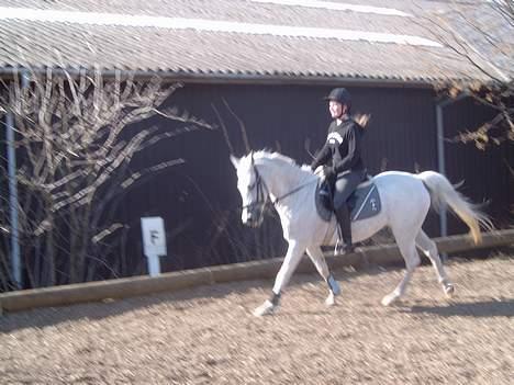 Anden særlig race  (solgt) - igen:-p billede 9