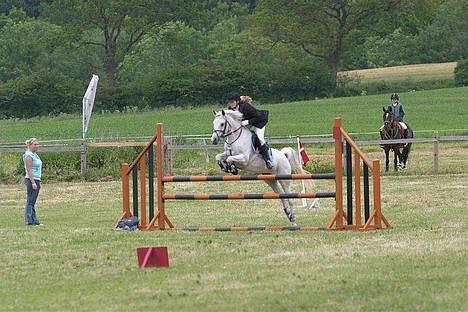 Anden særlig race  (solgt) - sommerstævne i egum omspringning i la højde.. 1. plads billede 1
