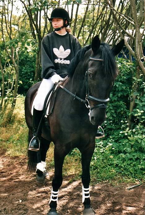 Anden særlig race Grande Benjamin O'nalli. - Grande og mig til springstævne i år 2000.. billede 5