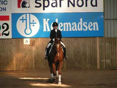 Anden særlig race StaldSakstrup's Dusty...! - Dusty (: billede 10