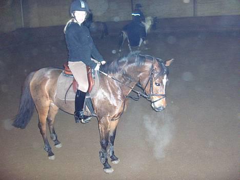 Dartmoor Molly Malone billede 12