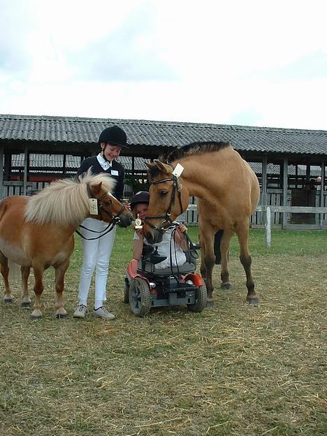 Shetlænder Sanne Bomlund  - Sanne på det Fynske Dyrskue 2005. Her sammen med sin ven, Pontus. Vi havde lige vundet Mønstringskonkurrencen billede 2