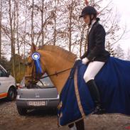 Anden særlig race Lady