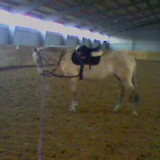 Connemara Danaé De Cisse