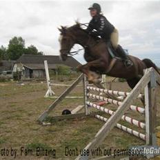 Anden særlig race Bumle *R.I.P*