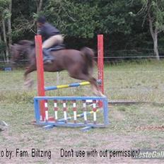 Anden særlig race Bumle *R.I.P*