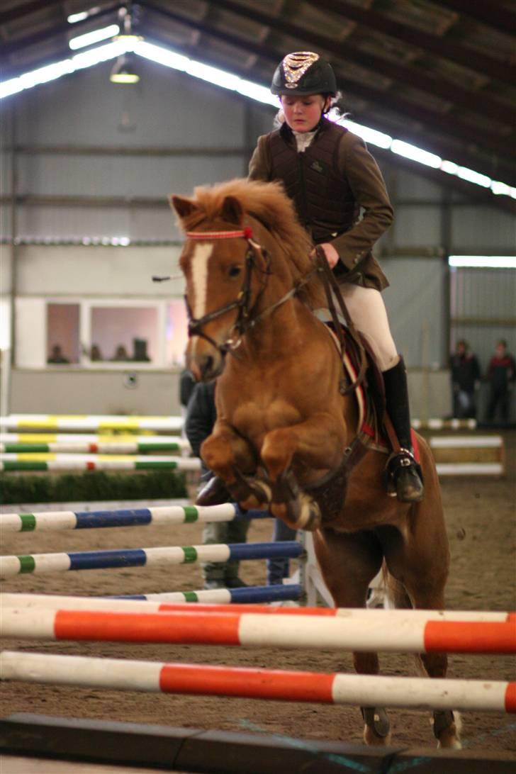 DSP freja mussen - Freja og jeg til distriktstævne billede 1