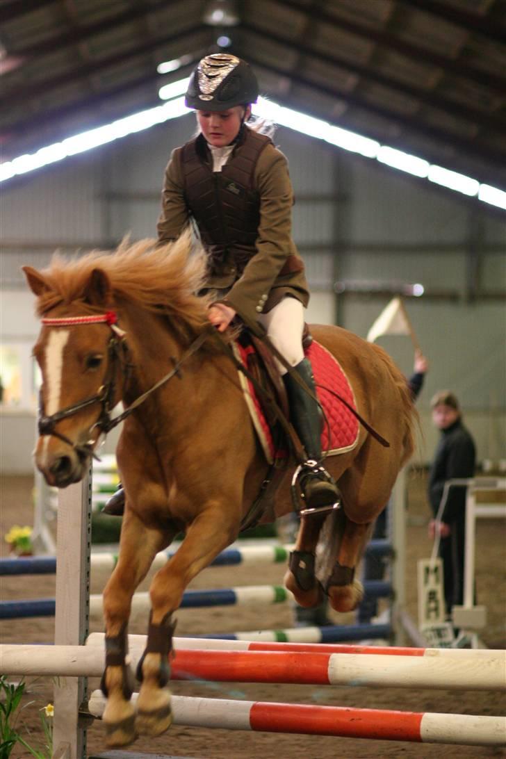 DSP freja mussen - Freja og jeg til distriktstævne billede 2