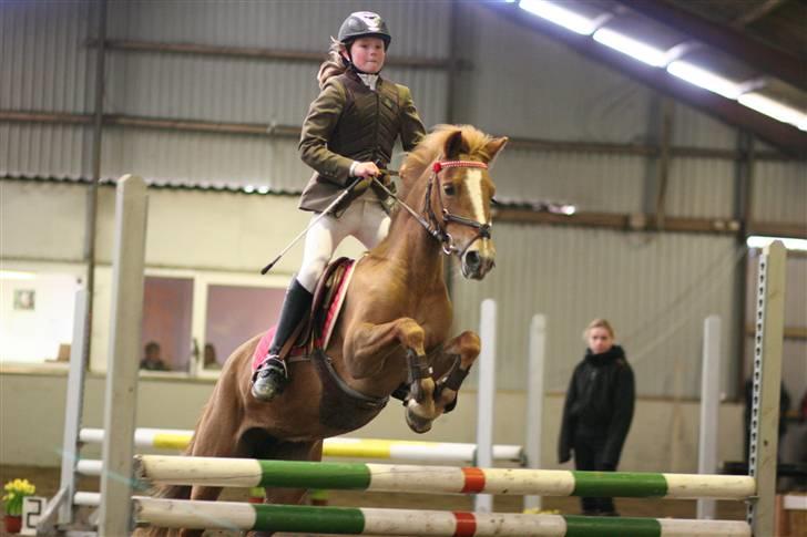 DSP freja mussen - Freja og jeg til distriktstævne billede 3