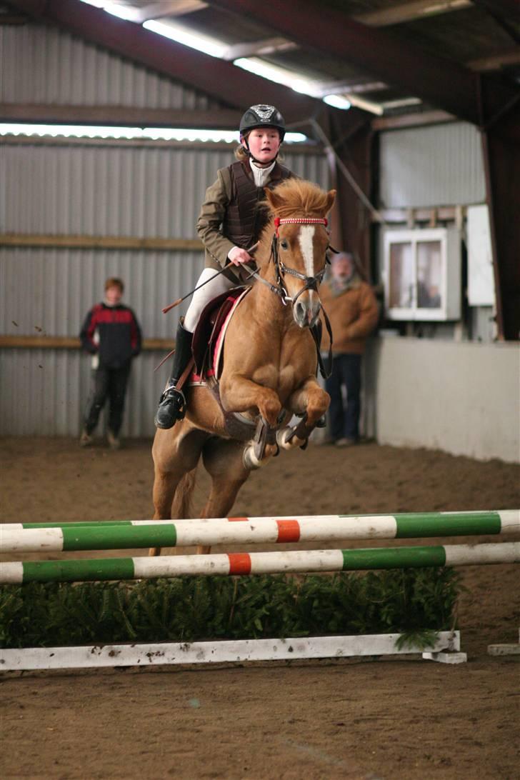 DSP freja mussen - Freja og jeg til distriktstævne billede 5