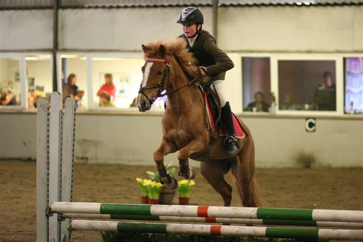 DSP freja mussen - Freja og jeg til distriktstævne billede 6