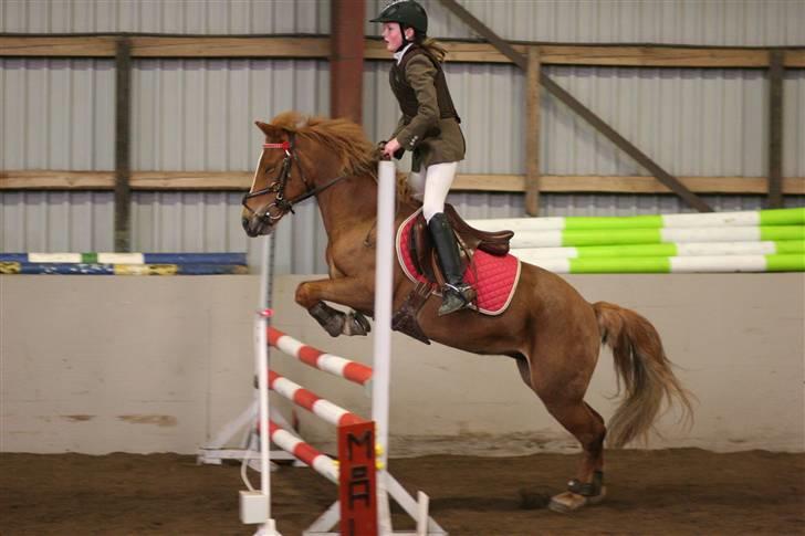 DSP freja mussen - Freja og jeg til distriktstævne billede 7