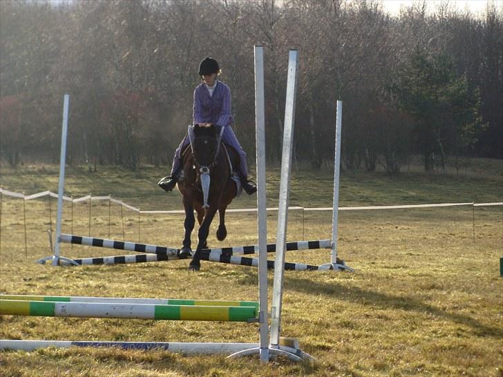 Anden særlig race Bertha <3 R.I.P :'z - Baby jump / kostume spring - vi var klædt ud som lille per og bodil kjær - Du var så fucking sej til det med udklædning :-* <3 billede 3